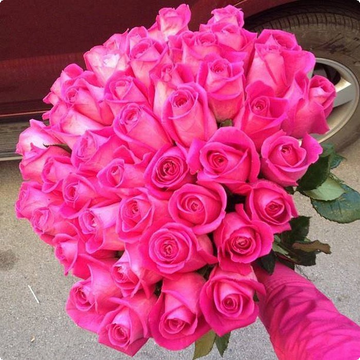 صور للورود 4
