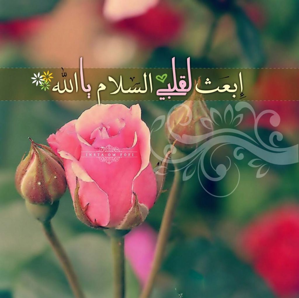 صورجميلة جديدة5