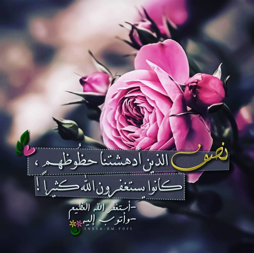 صورجميلة جديدة