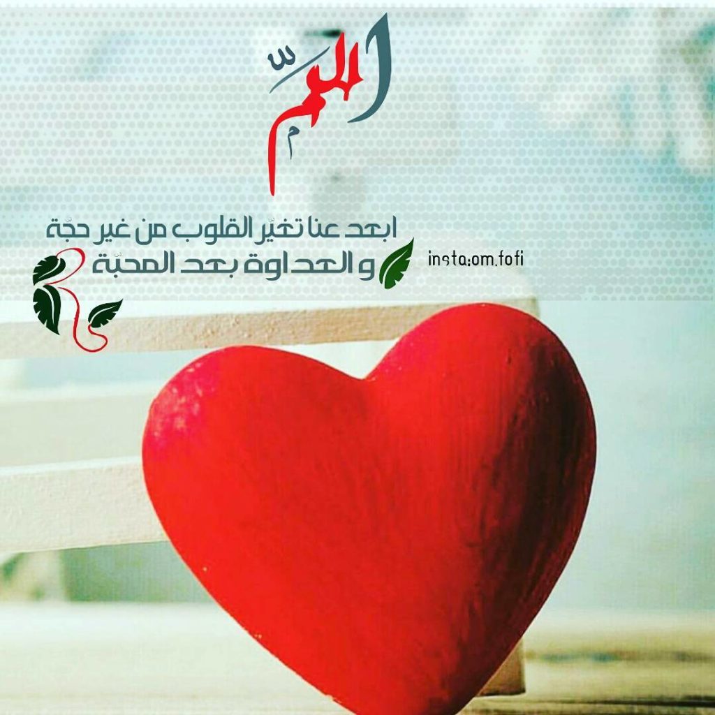 صورجميلة جديدة7