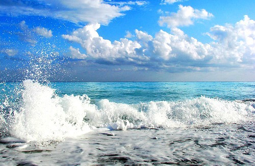 صور بحر43