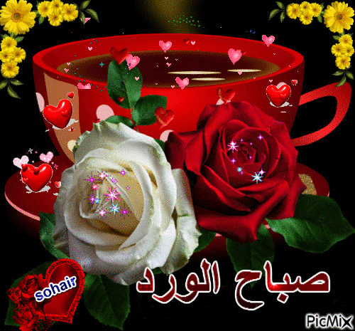صباح الورد 43