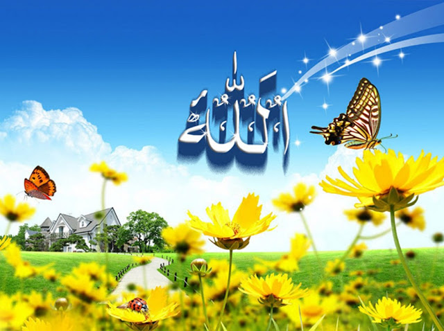 صور كلمه الله