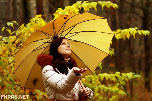 خلفيات صفراء كيوت10