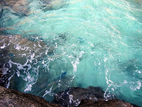 صور بحر47