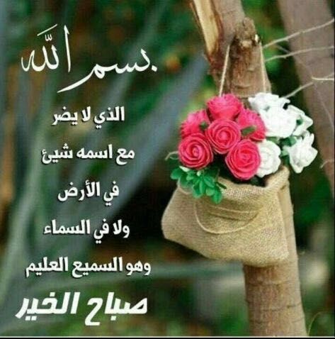 اجمل الصور الورد مع الكلمات 5