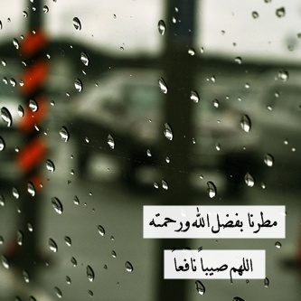 اجمل الصور والعبارات عن المطر 5