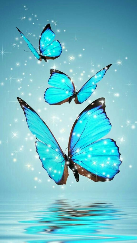 صور الشاشة5