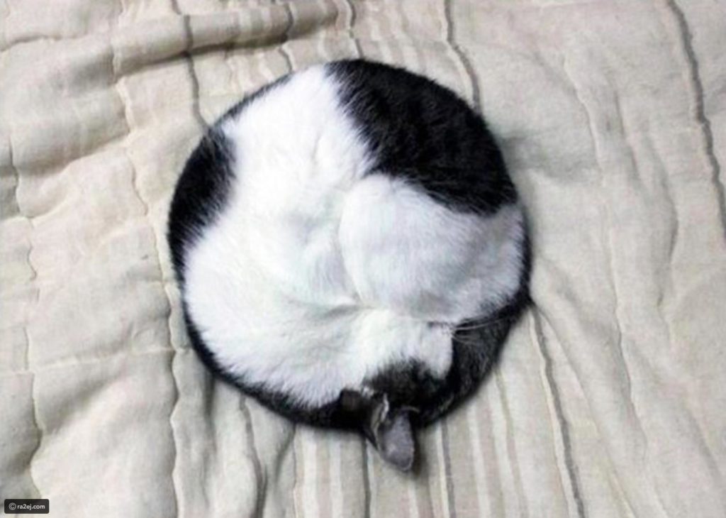 صور غريبة5