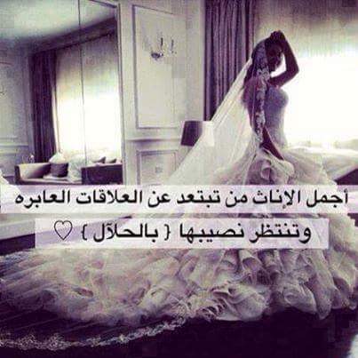 حكم مصورة روعه 5