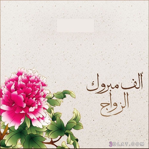 الصور الف مبروك الزواج 10