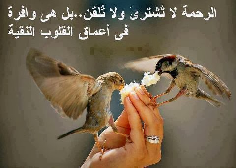 صور لها معنى5