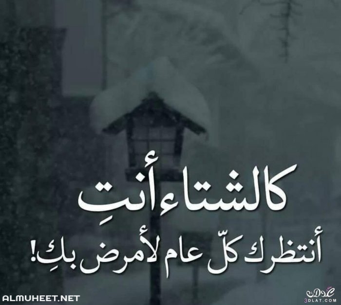 صور عن البرد5