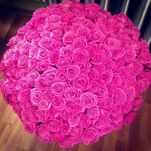 صور للورود 5