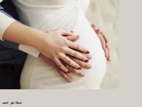 صور حوامل 5
