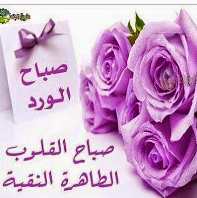 صباح الورد5