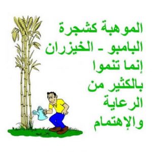الموهبة5