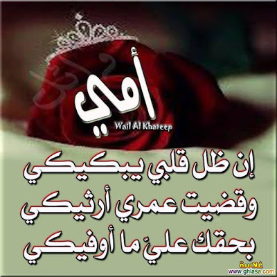 عيد الام6