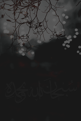 صور فخمه6
