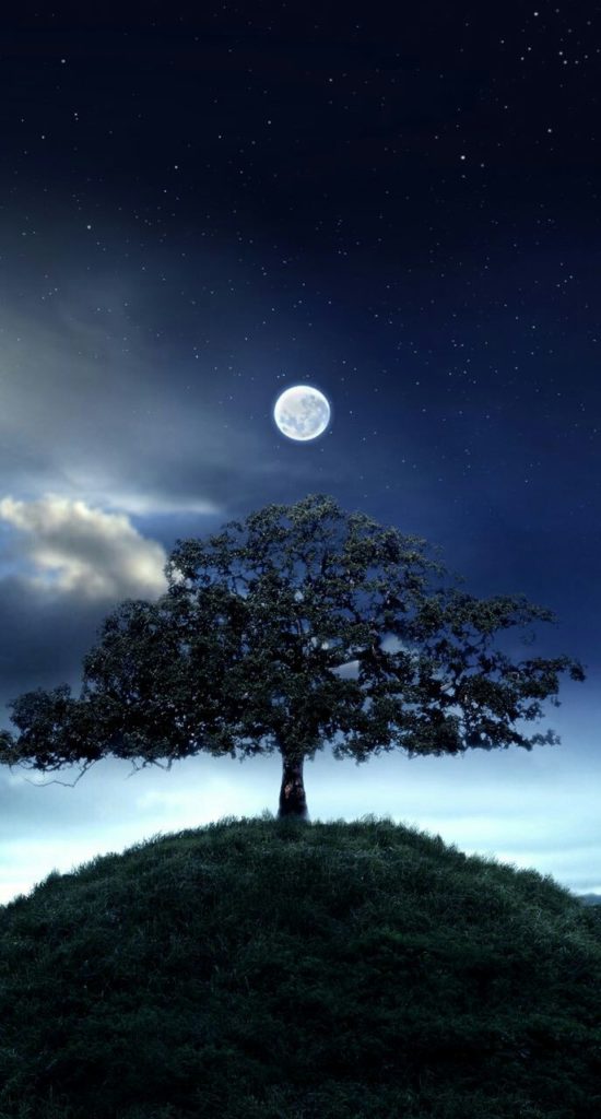 صور الشاشة6