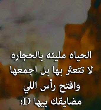 حكم وامثال مصورة مضحكة 6