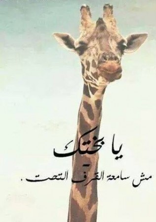 صور مضحكة مكتوب عليها6