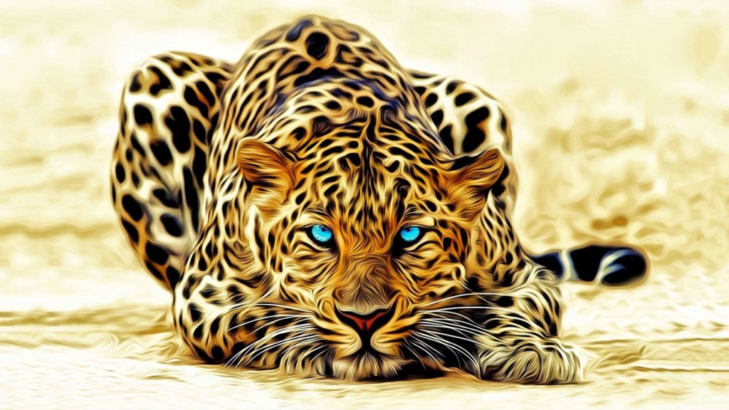 صور 3d 6
