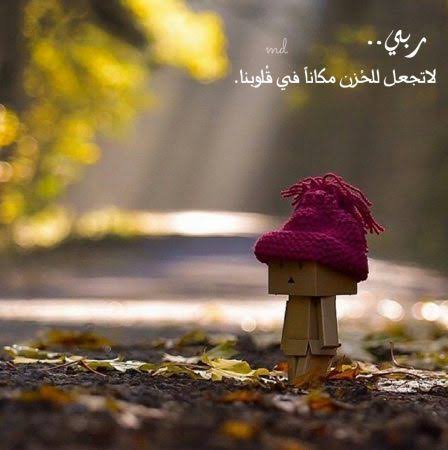 صورجميلة جديدة 6