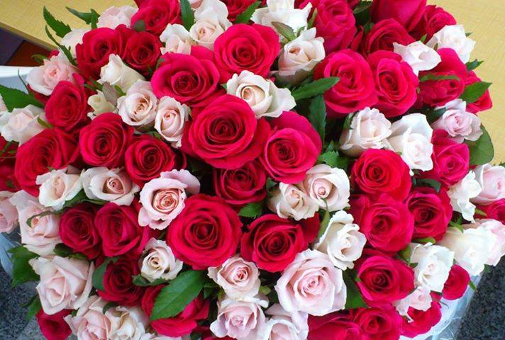 ورود طبيعية خلابة1