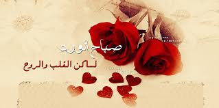 صباح الورد 6
