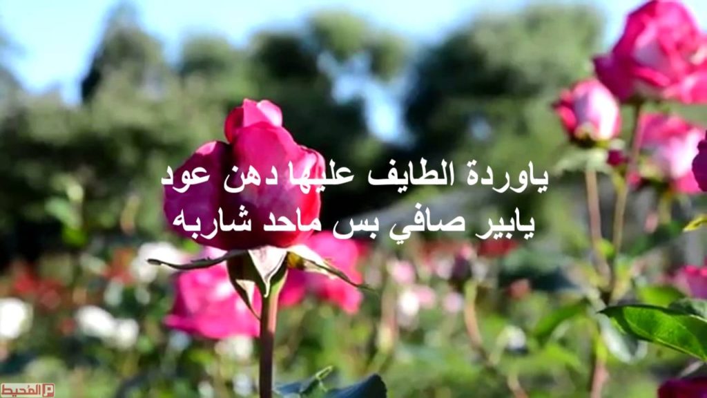 اجمل الصور الورد مع الكلمات 7