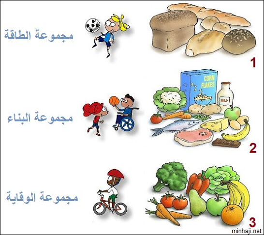 مطويات عن برنامج صحتي في غذائي 7