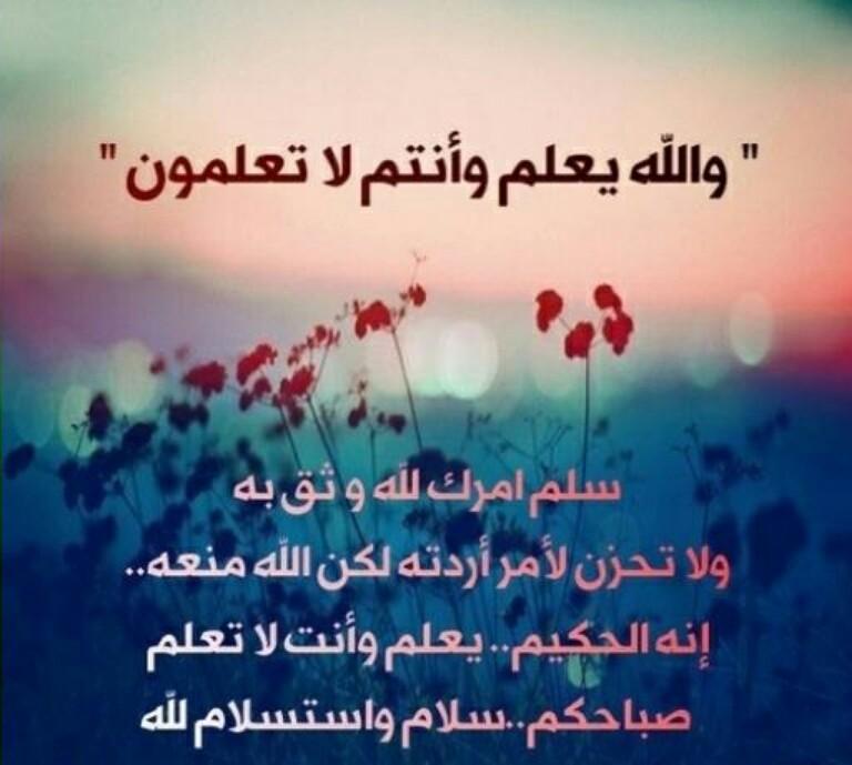 حكم وامثال وكلام من ذهب 7