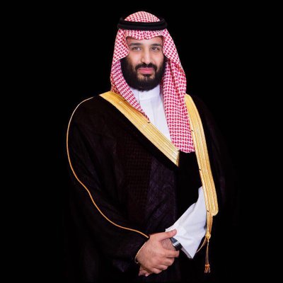 خلفيات محمد بن سلمان والملك سلمان 9