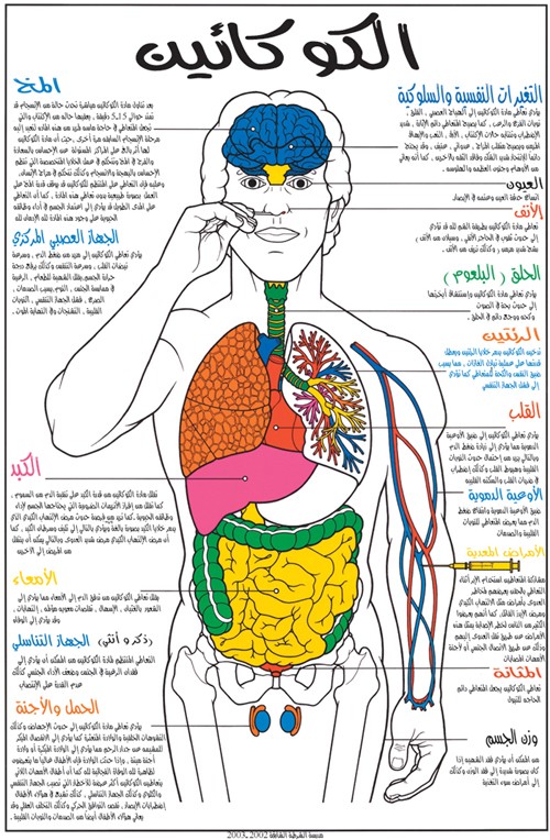 تأثير المخدرات على الجسم 7