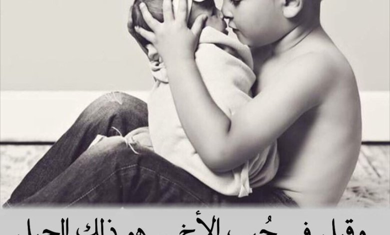 احلى كلام عن الأخ 8
