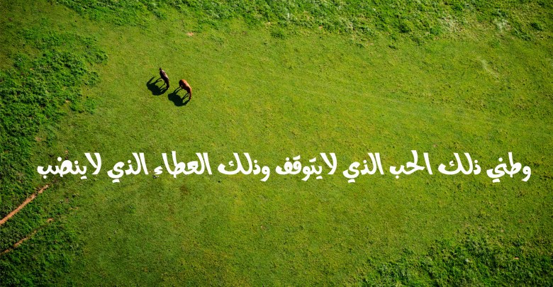 حب الوطن 7