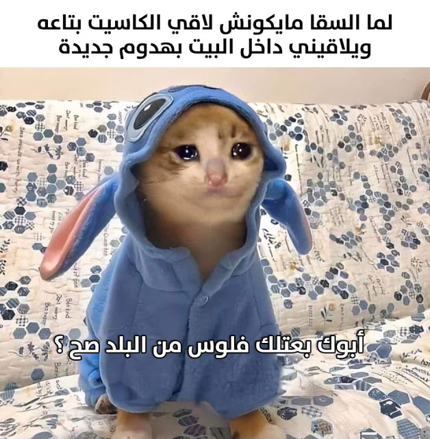أشهر ميمز 7