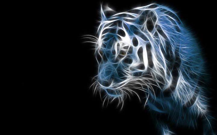 صور حيوانات 3d 6