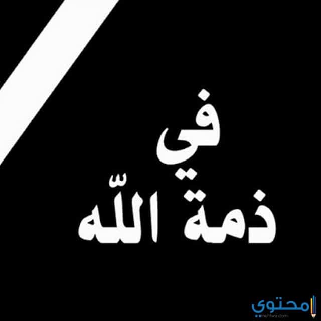صور حداد8
