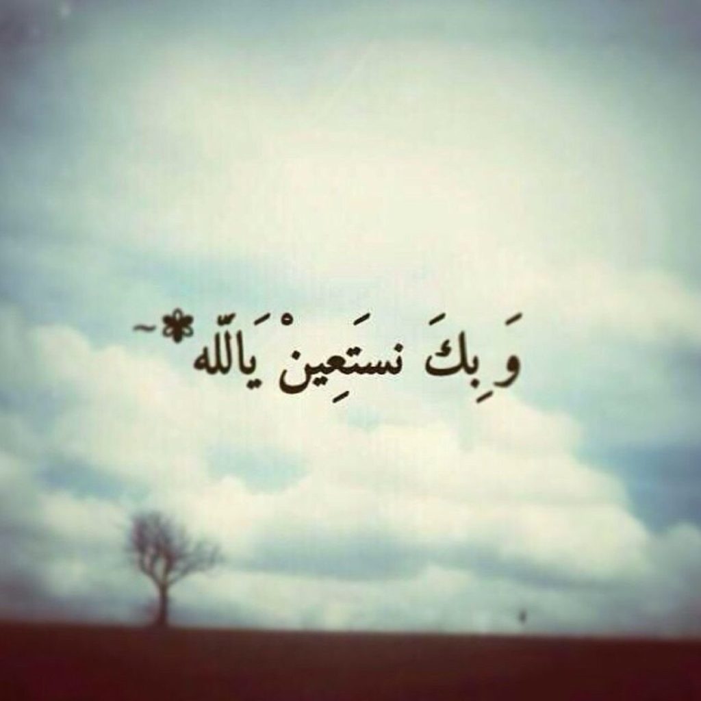 صور الوتساب8