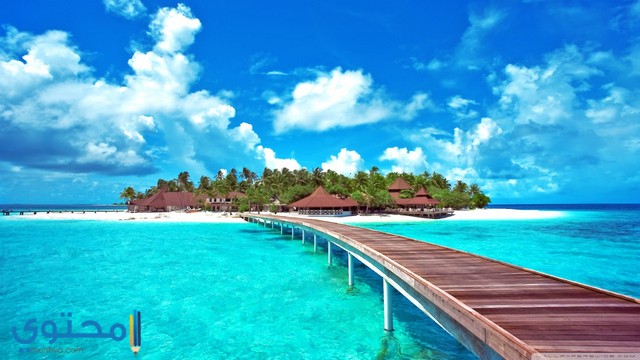 صور بحر8