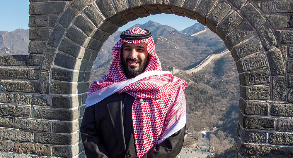 صور محمد بن سلمان ولي العهد السعودي 8