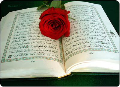 صور القرآن8