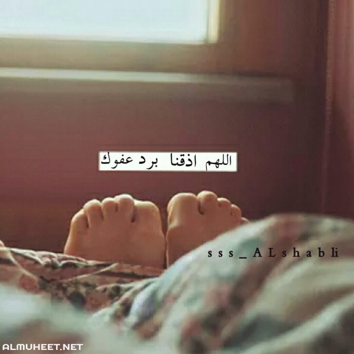 خلفيات عن البرد مكتوب عليها 3