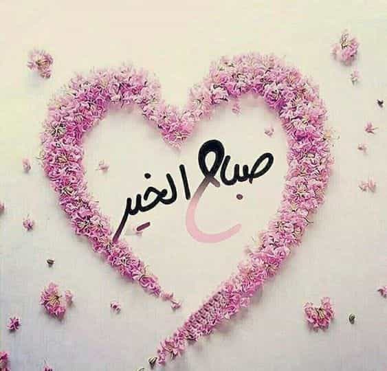 صباح الخير للحبيب بالصور3