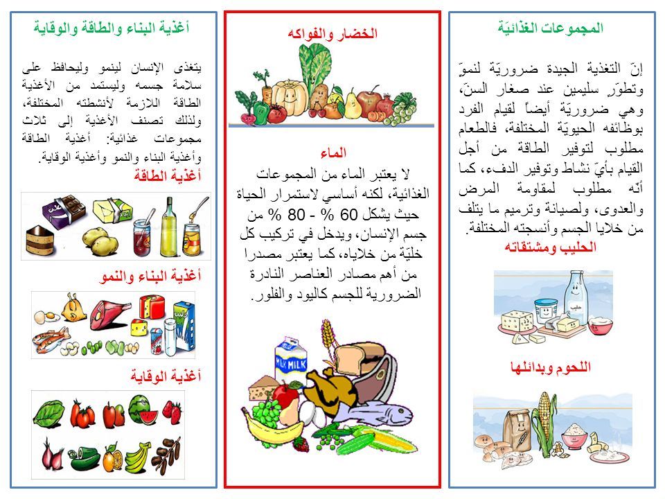 مطويات عن برنامج صحتي في غذائي 8