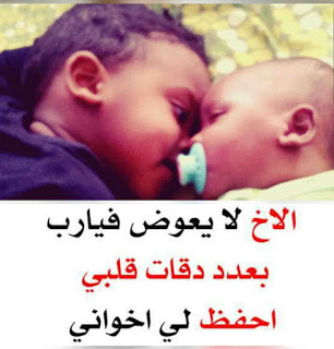 صور وعبارات عن الاخ 8