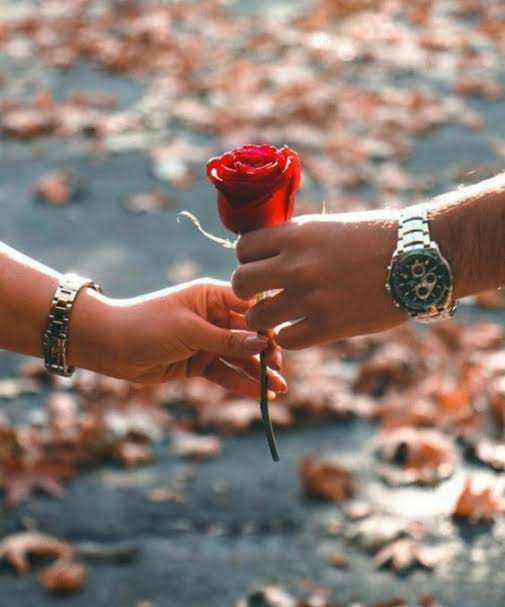 صورجميلة جديدة خلفيات2