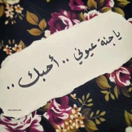 صورحب 7